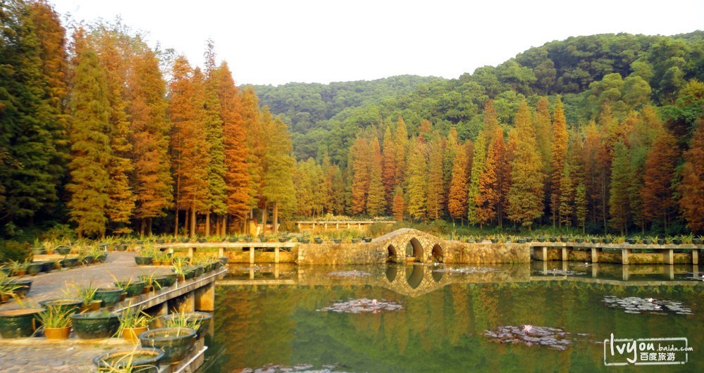 深圳市仙湖植物园