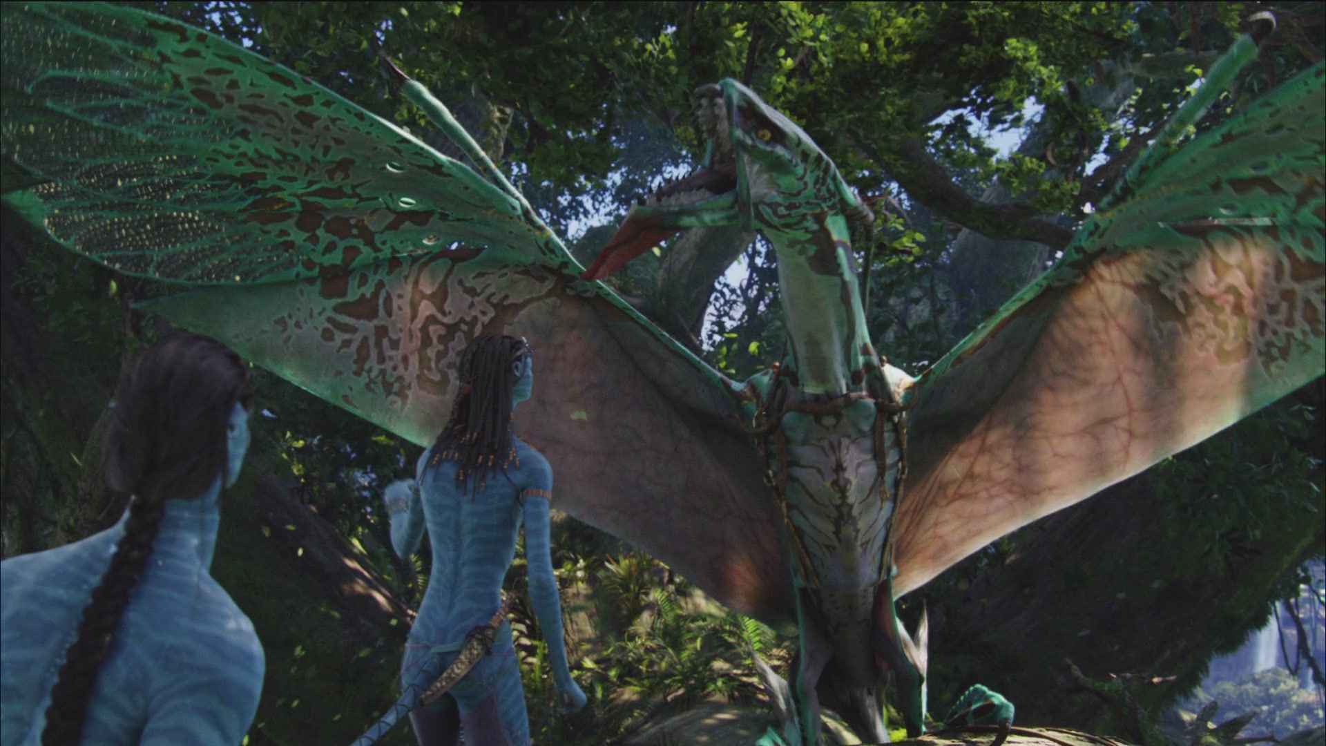 ="31689">电影 /a>《 a target="_blank" href="/item/阿凡达/32205"