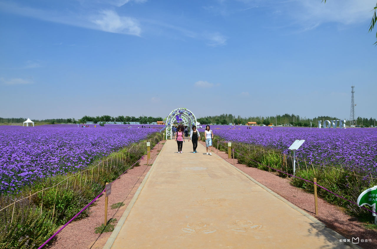 宁夏中卫金沙岛