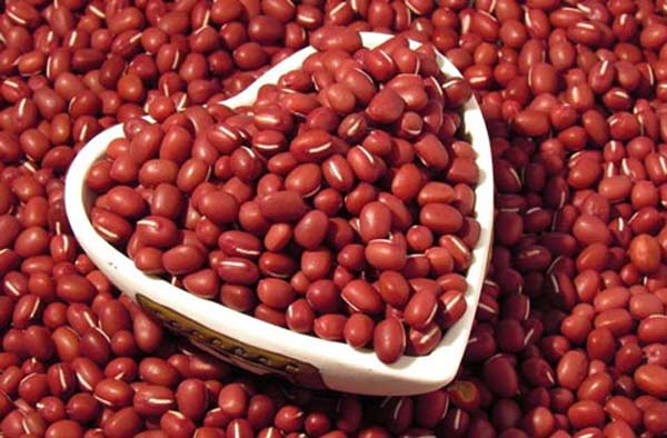 珍珠红小豆