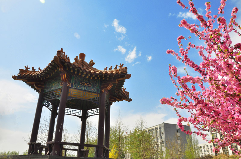 北京财经专修学院