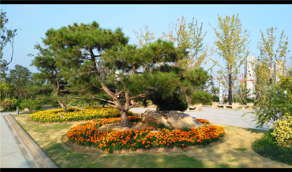  p data-id="gnveqge75v">珠山宕口公园,又名珠山宕口遗址公园,位于 a