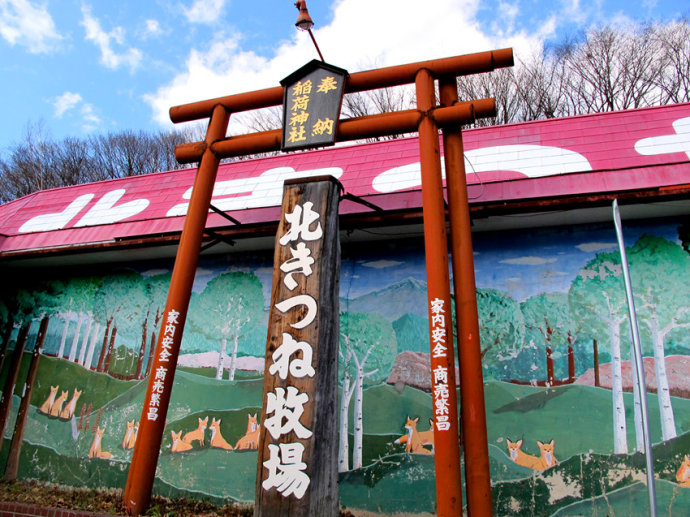 日本狐狸村
