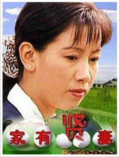 家有贤妻