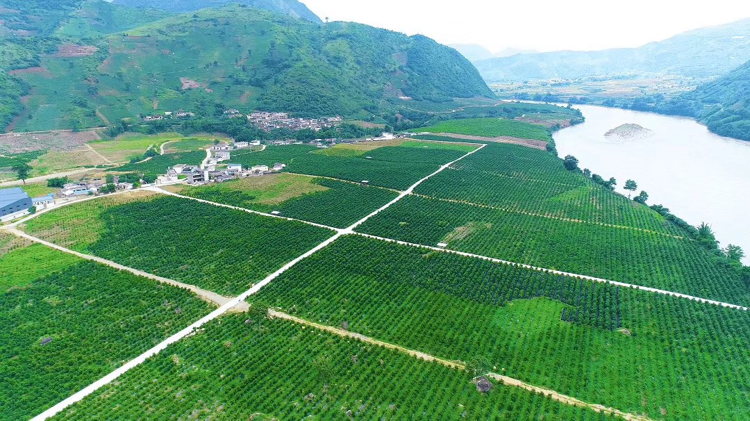 云南省保山市隆阳区国家现代农业示范园