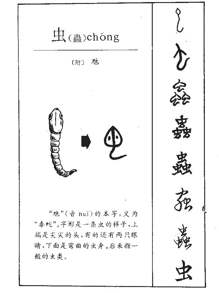 虫加夫念什么 全网资源