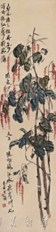 红廖