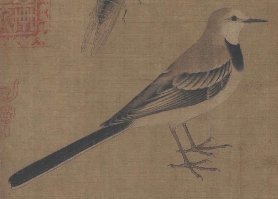 写生珍禽图：随手画了张草图，惊艳千年_百科TA说