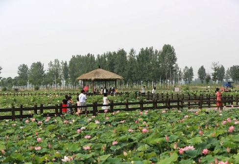 <p>曹市镇风光