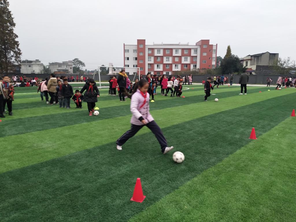  p>仁美镇,隶属于四川省眉山市丹棱县,地处丹棱县西南部,东临 a