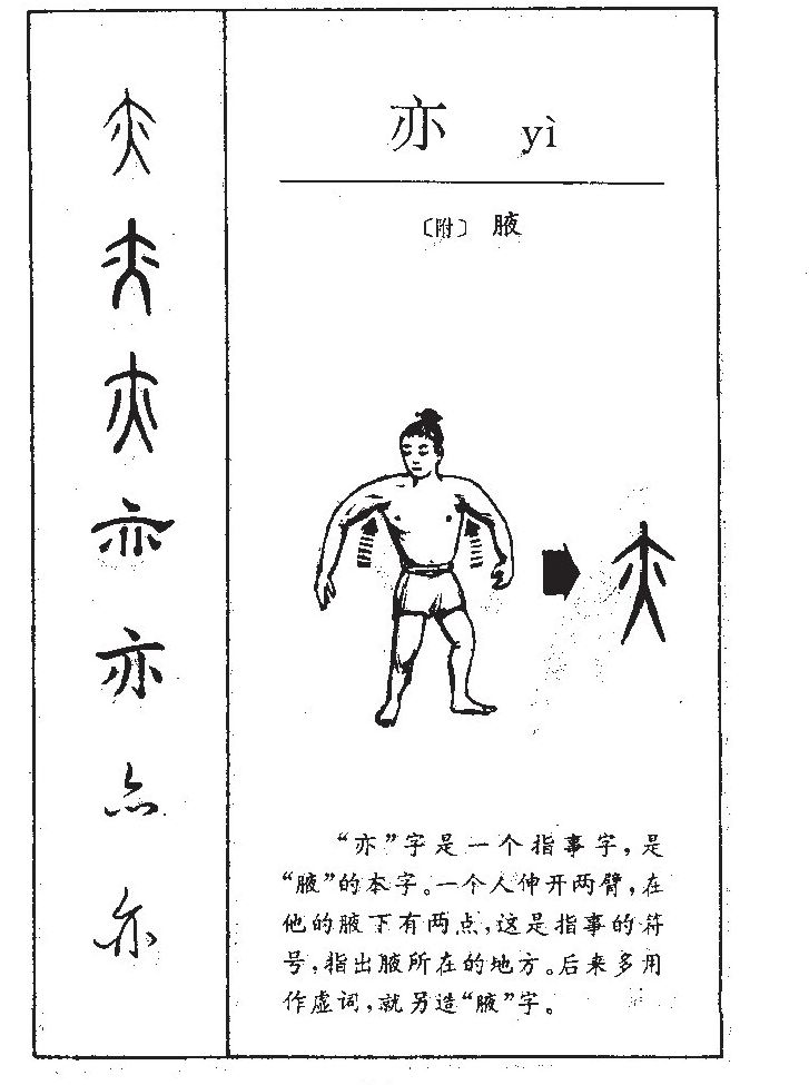  p data-id="gncp41rknq">亦(拼音:yì)是汉语通用规范一级汉字(常用