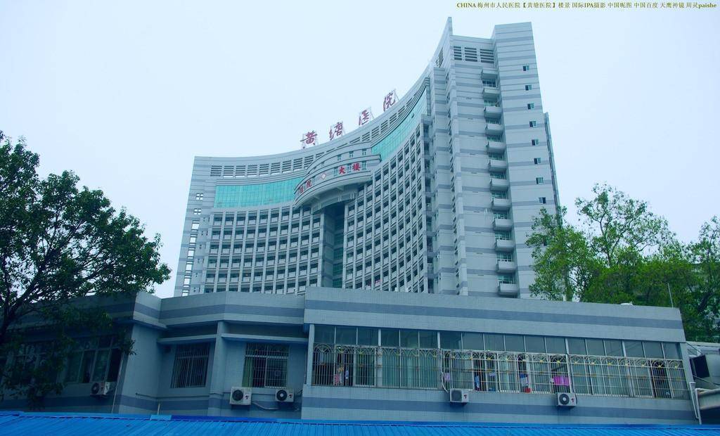 包含梅州市人民医院（梅州市黄塘医院）黄牛陪诊挂号的词条