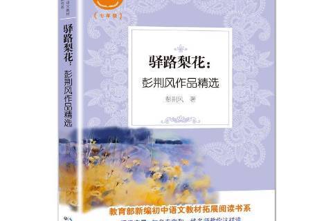 驿路梨花:彭荆风作品