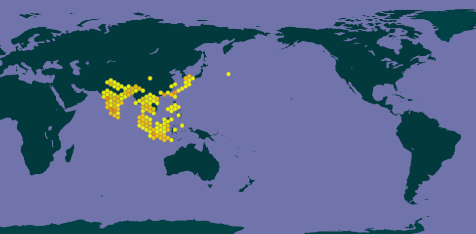 体背面黑色,腹面灰白色.