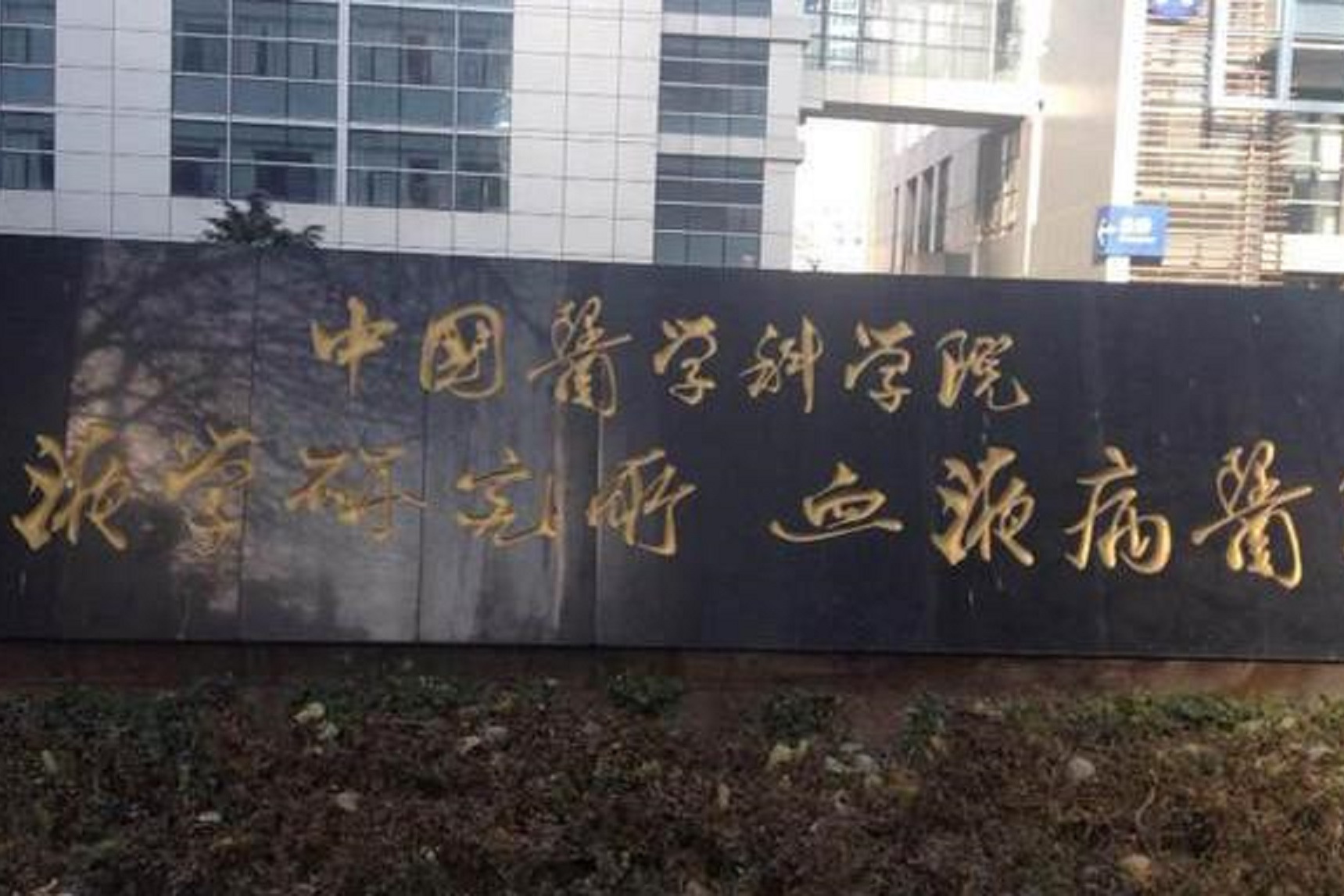中国医学科学院肿瘤医院、东城区号贩子挂号_10分钟搞定，完全没有问题！的简单介绍