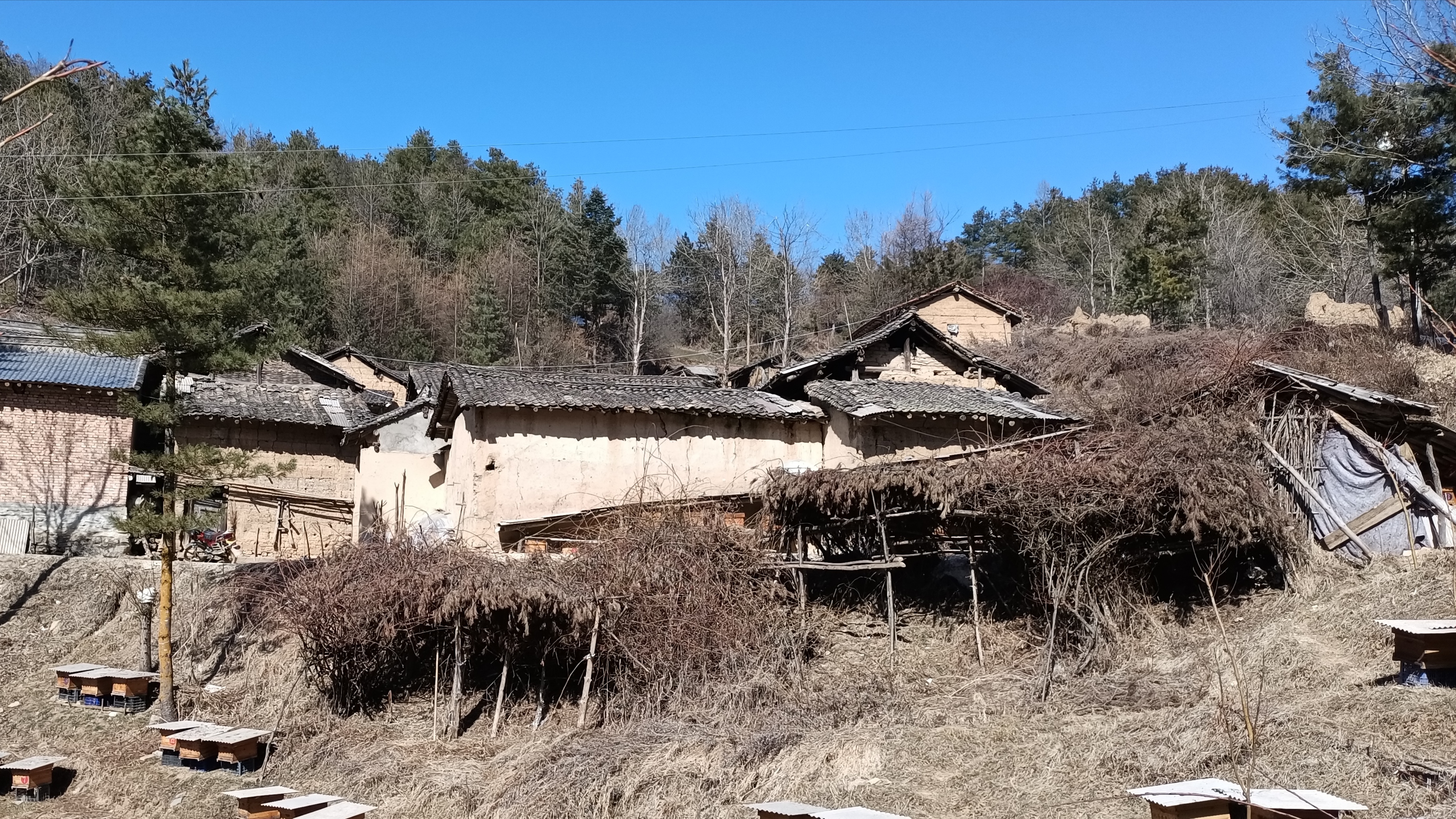 id="226159">甘肃 /a> a target="_blank" href="/item/礼县/2998099"