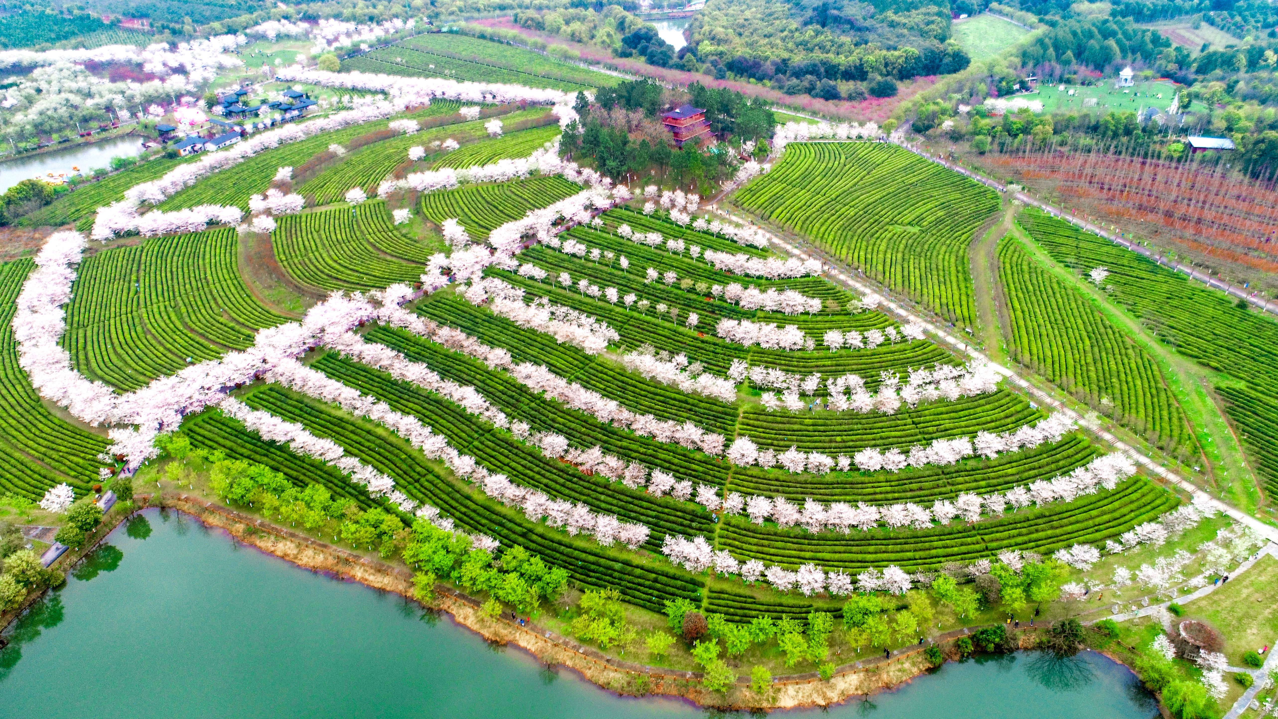 又名黄马凤凰沟或南昌凤凰沟,凤凰沟以生态农业为主题,以农业带动凤凰