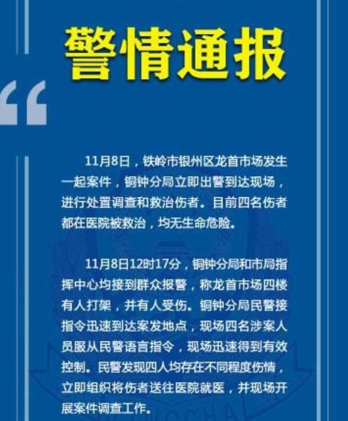11·8铁岭持刀砍人案