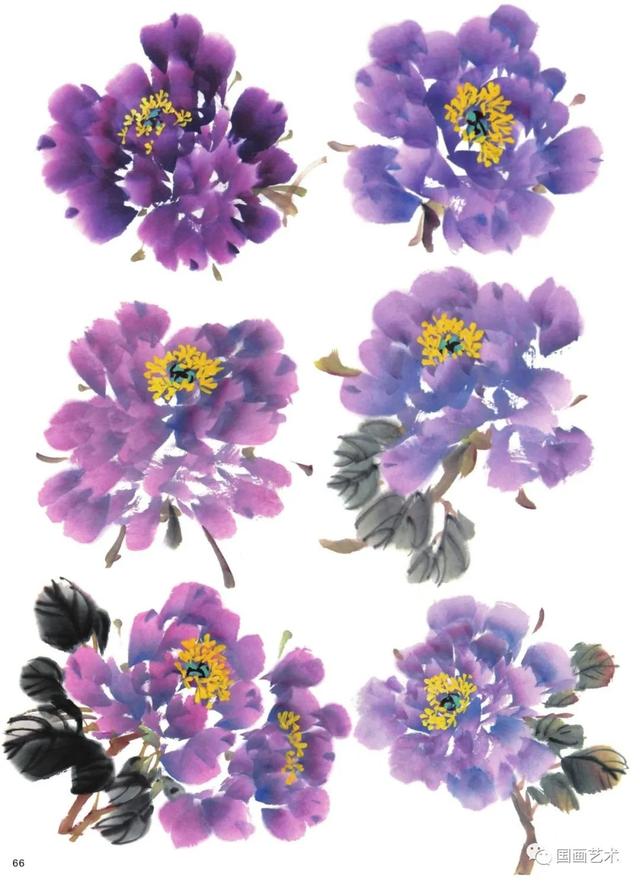 图文教程 紫 红牡丹花头写意画法与形态参考 百科ta说