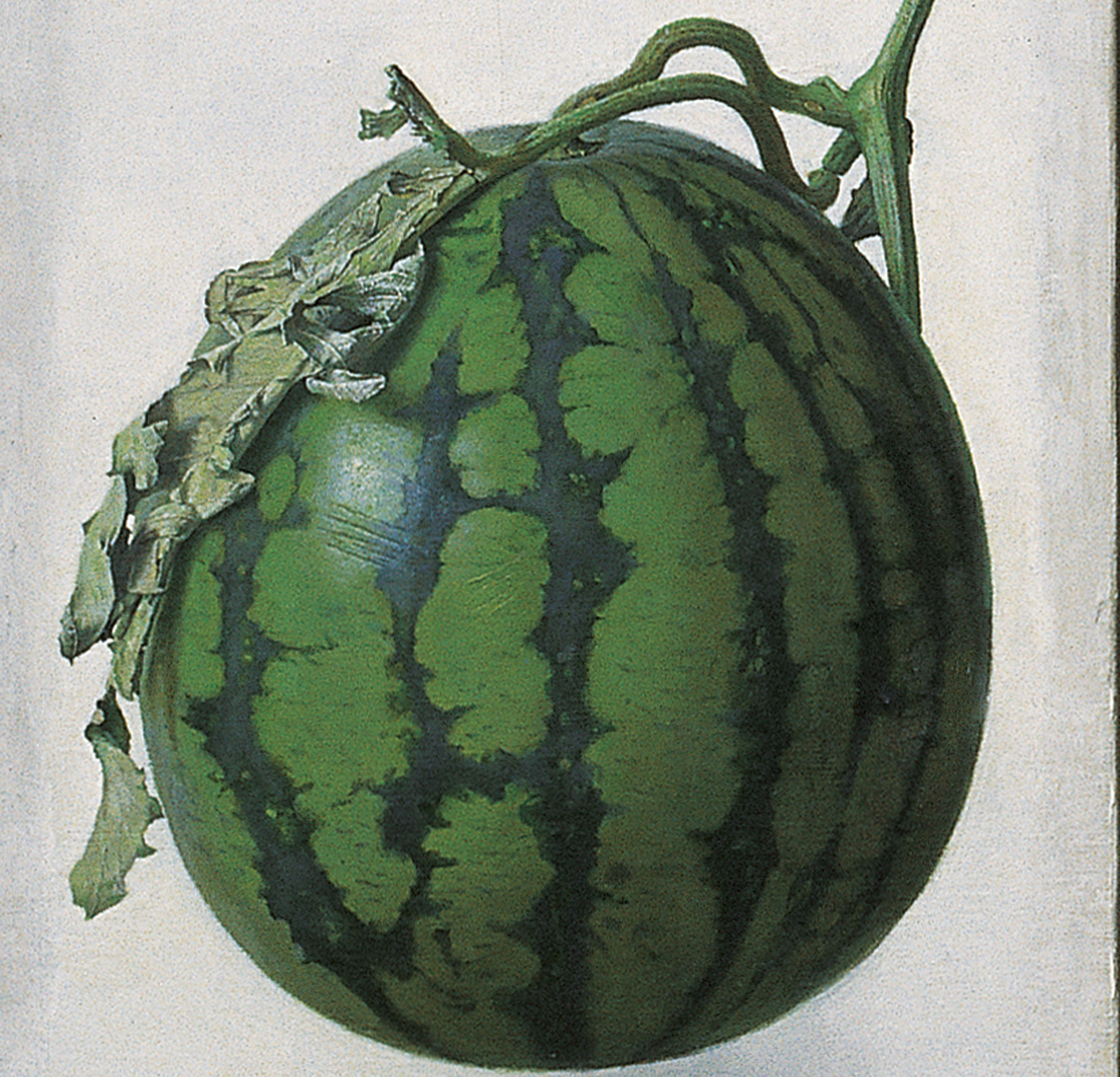 data-lemmaid="7982547">李士进于2006年创作的油画作品,背景是