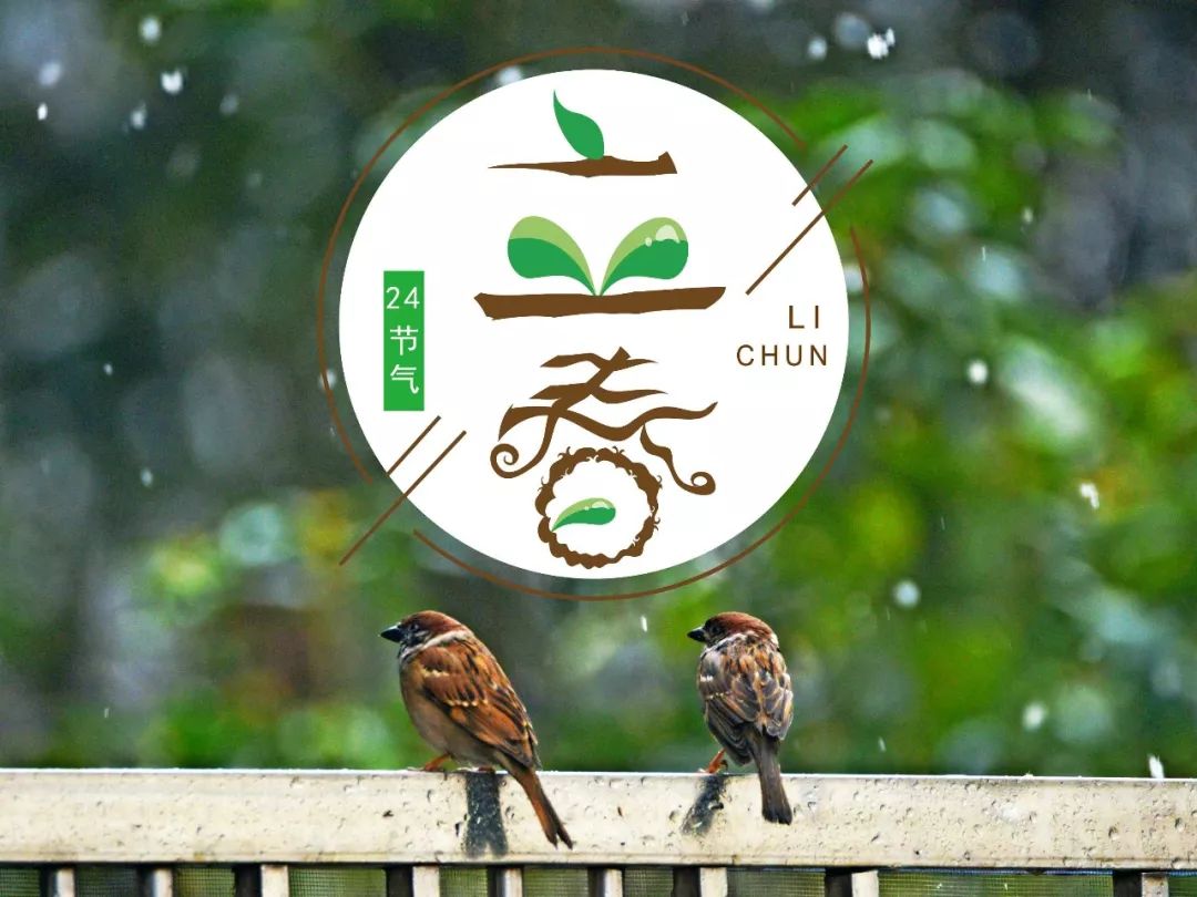 立春丨“C位”曾属于它！_百科TA说