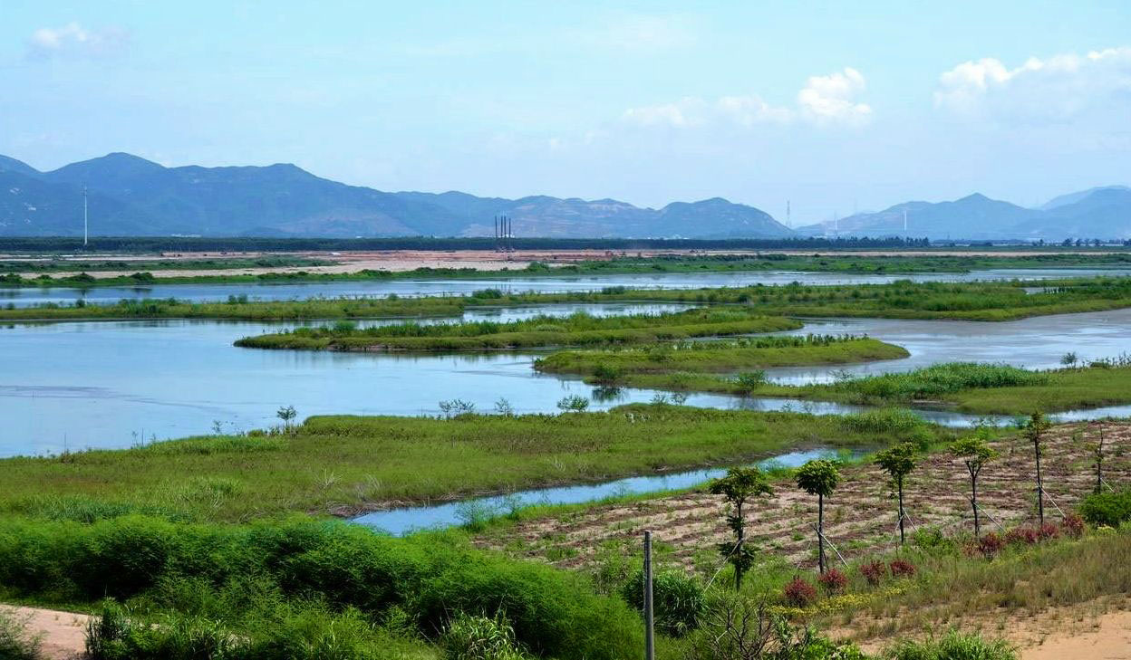 新会银湖湾湿地公园