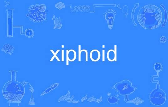 xiphoid_百度百科