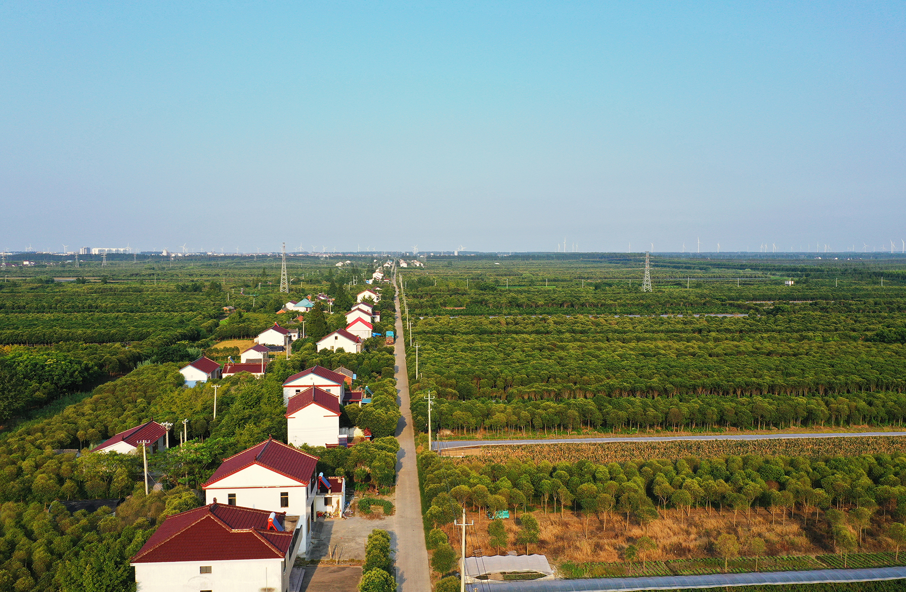  p>三仓镇,隶属于江苏省东台市,是 a target="_blank" href="/item