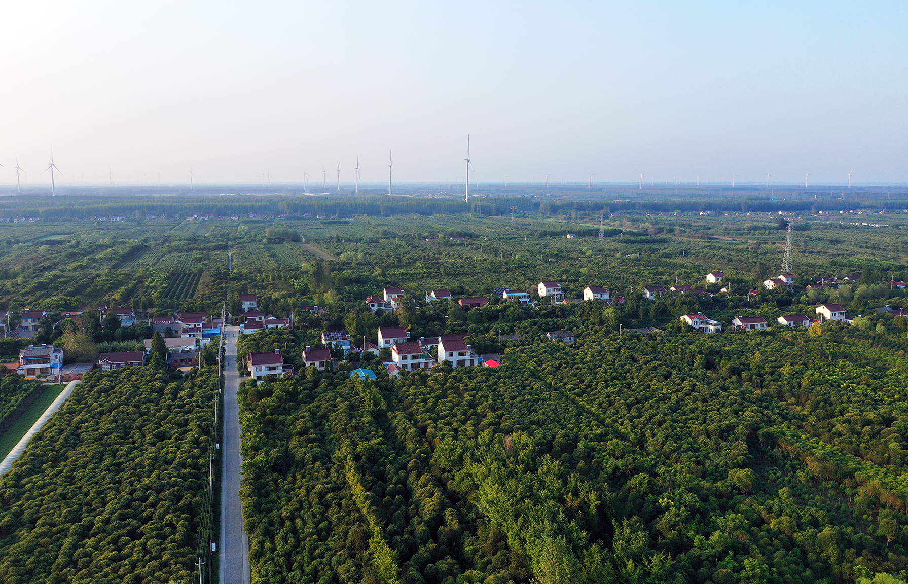  p data-id="gnvjl9kl6u">三仓镇,隶属于江苏省盐城市东台市,地处 a