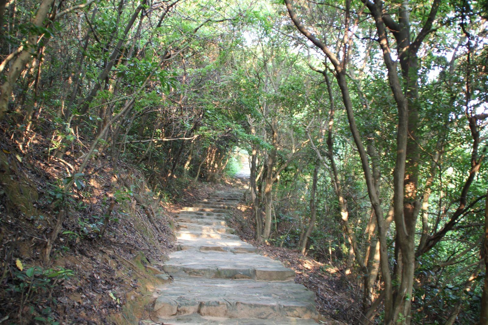 data-id="gnwx052hky">横岗 a target="_blank" href="/item/园山风景