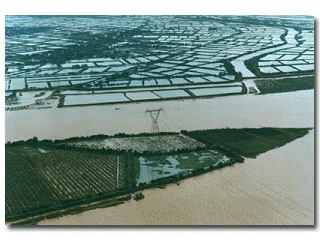 三角洲(delta),即 a href="#" data-lemmaid="22550868">河口冲积平原