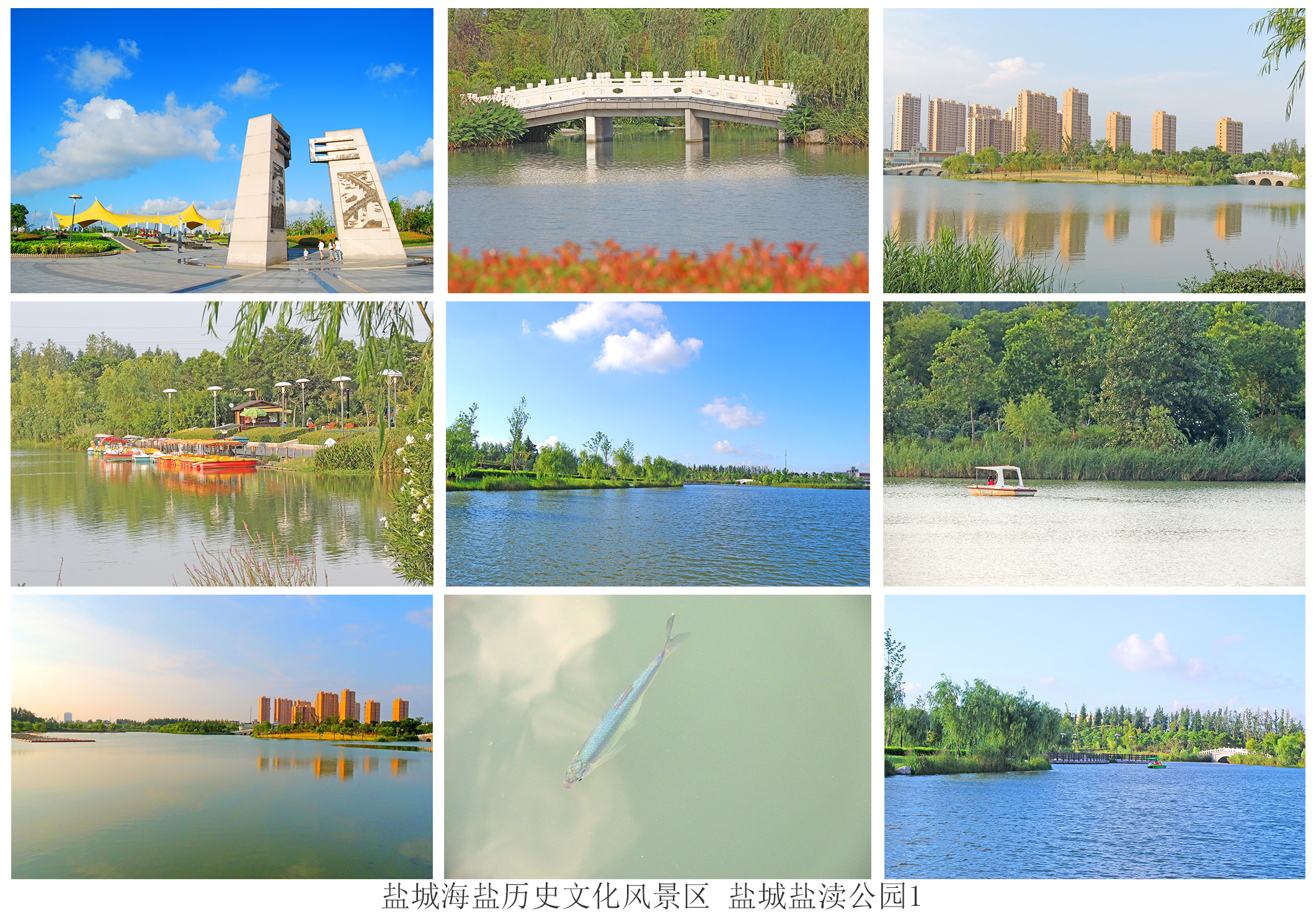  p data-id="gnx6u70joj">盐渎公园,位于盐城市 a target="_blank"
