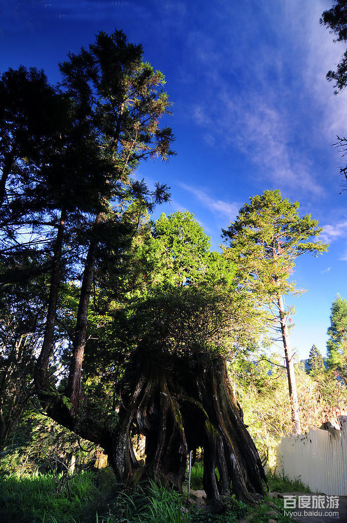  p>阿里山(ali mountain),位于 a target="_blank" href="/item/台湾