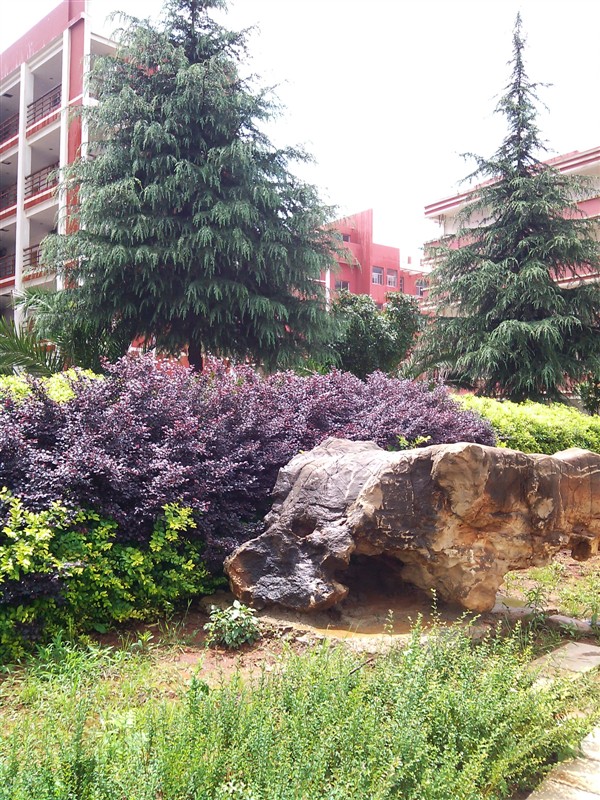 富源县胜境中学