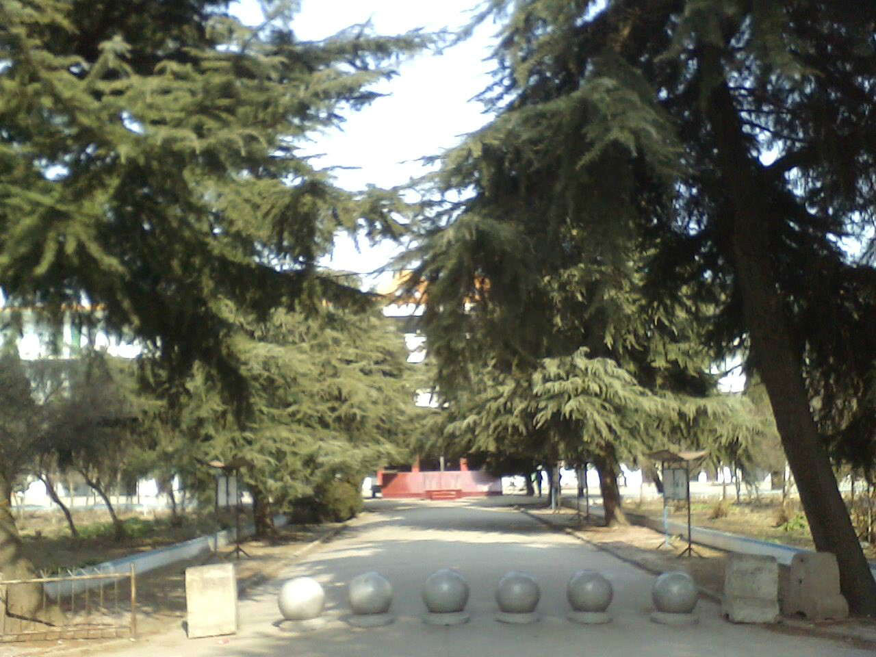 镇平县第二高级中学