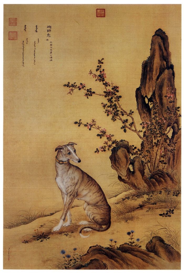 清朝的“宠物狗”在郎世宁笔下什么样_百科TA说