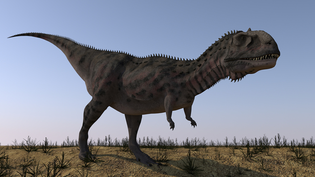 majungasaurus crenatissimus