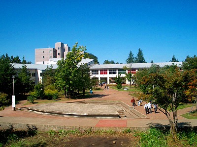 青森大学