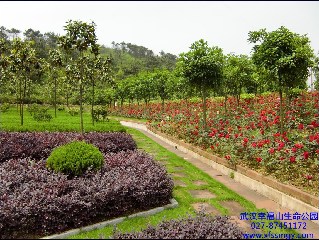 武汉幸福山生命公园