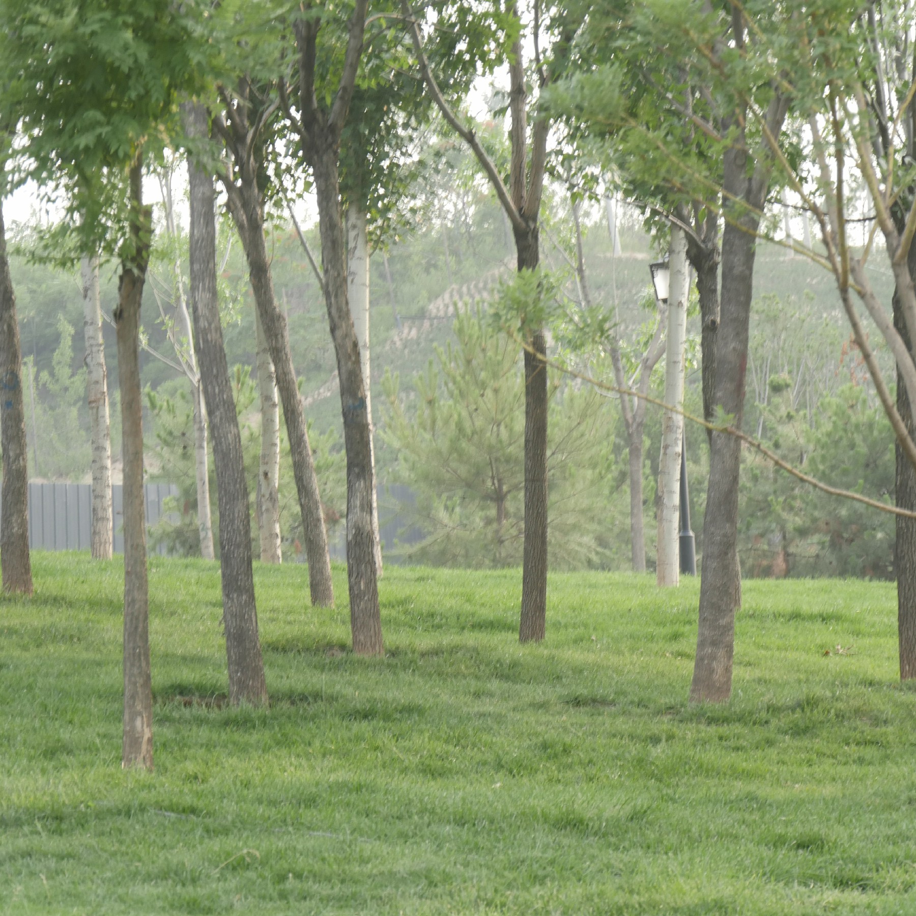  p>九龙岗森林公园位于 a target="_blank" href="/item/忻州市