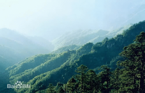 陕西长青国家级自然保护区