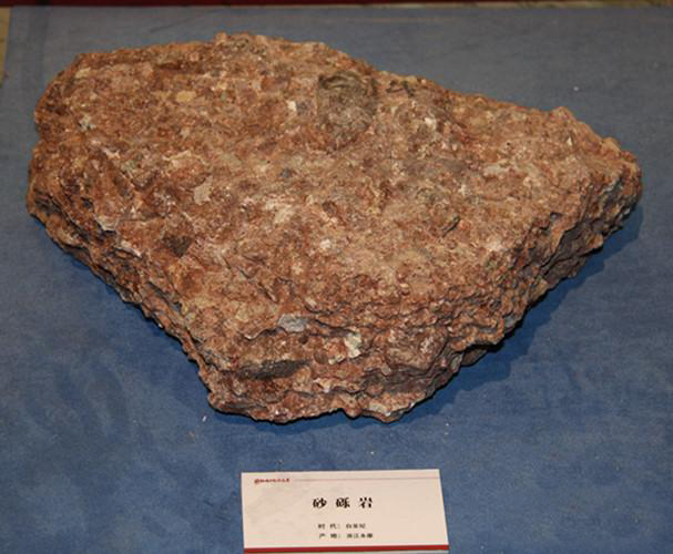  p>砂砾岩,也叫含砾砂岩,是以不同粒径级配的砂岩颗粒为主,成分成熟度