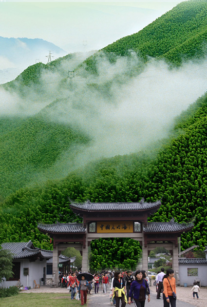安吉中国大竹海