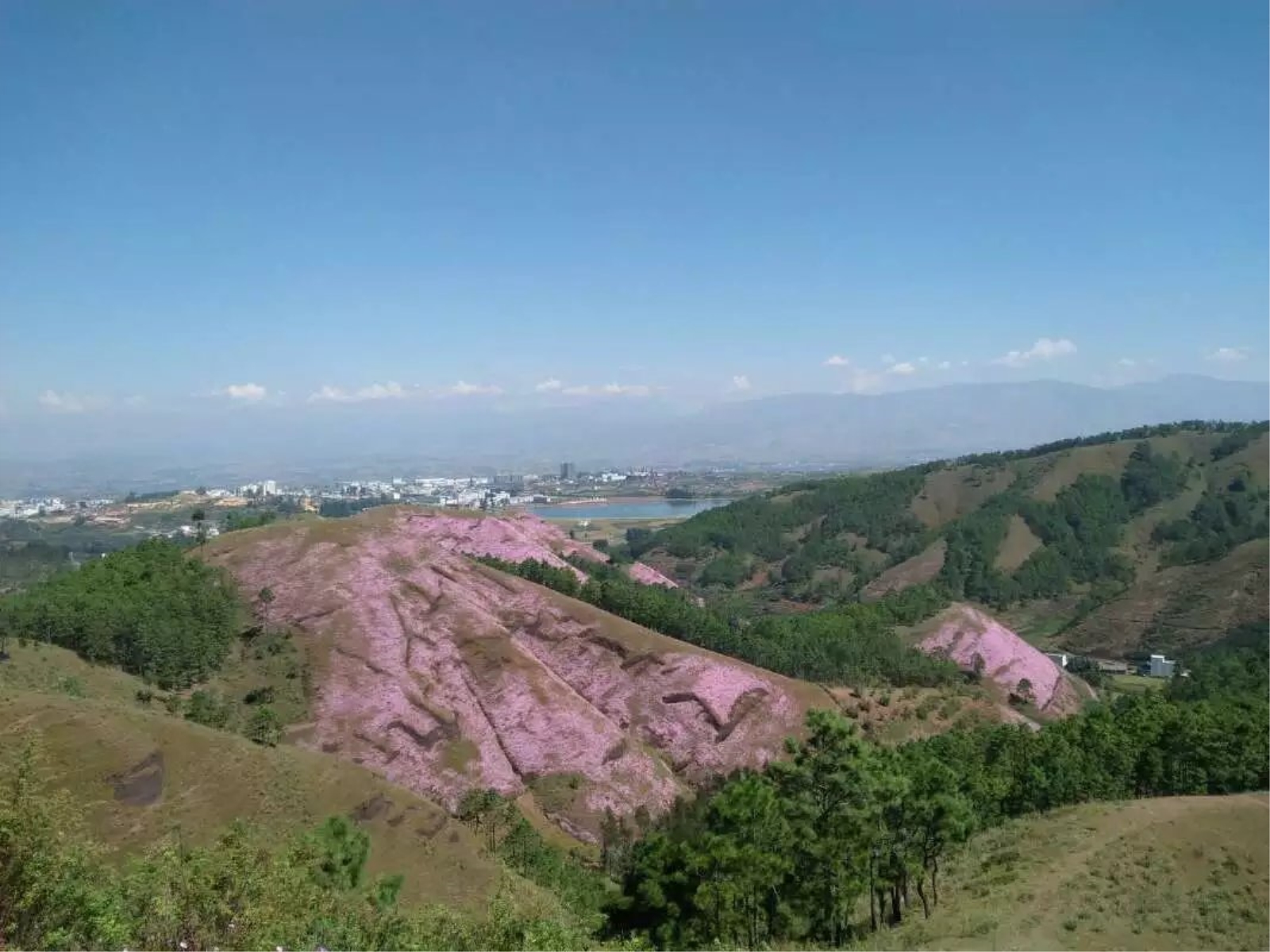  p data-id="uc3d7f1gi6bk">公母山又名连理山,莲花山,位于县城西南5