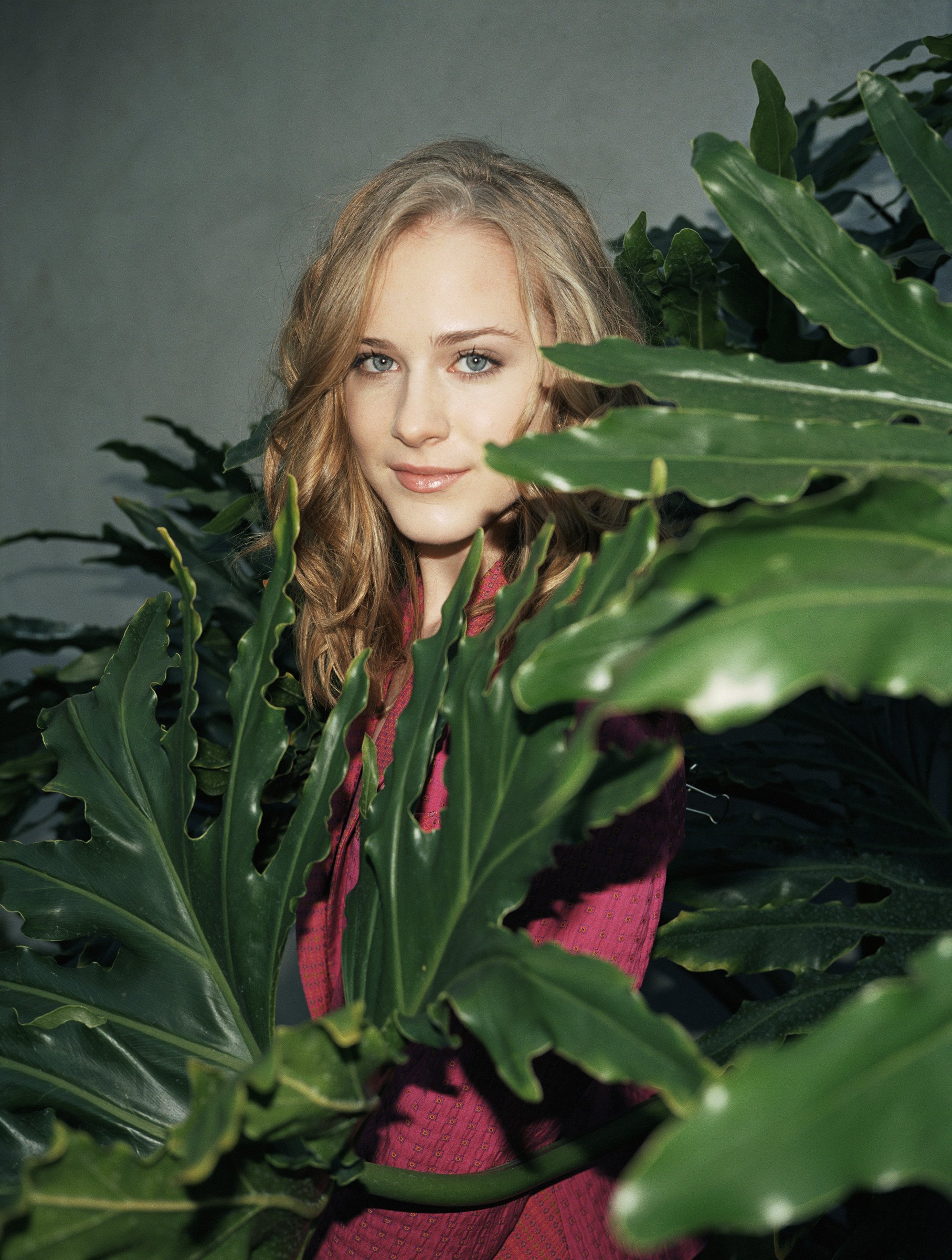 埃文·蕾切尔·伍德