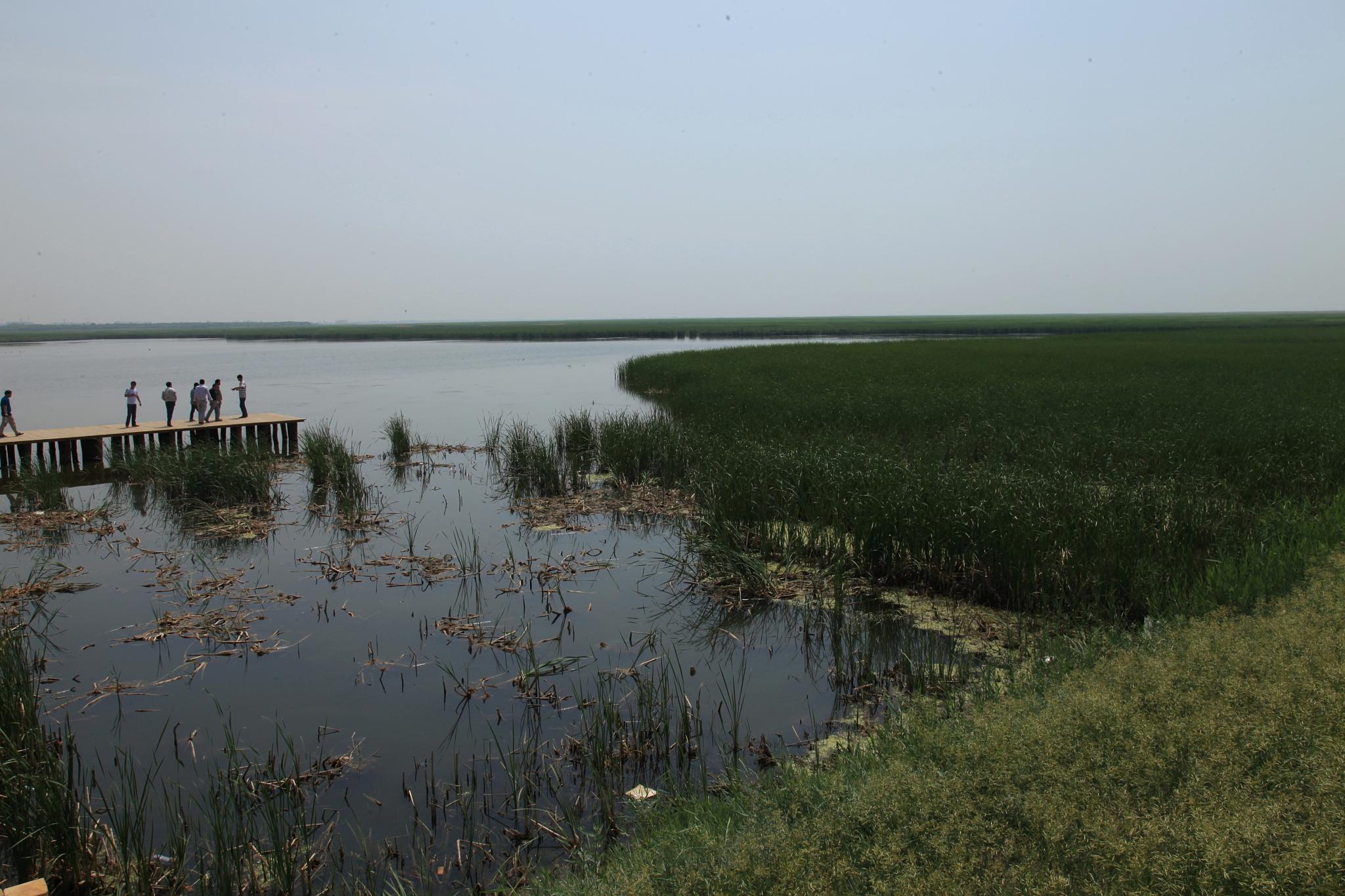 内蒙古哈素海国家湿地公园