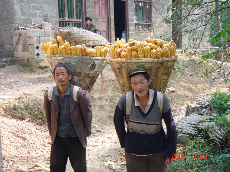 省/18664752" data-lemmaid="18664752">云南省 /a>昭通市镇雄县 a