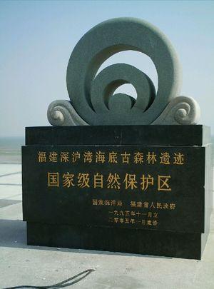  p>深沪湾自然保护区所发现的海底古森林遗迹主要分布于距海岸100m