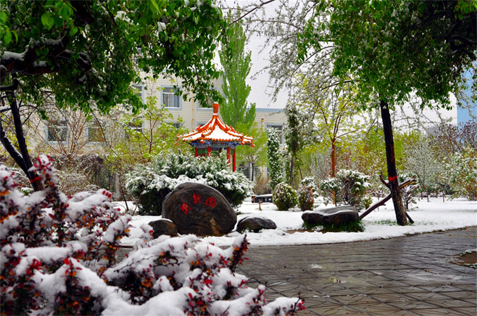  p>榆林学院(yulin university)坐落在陕西 a target="_blank" href="