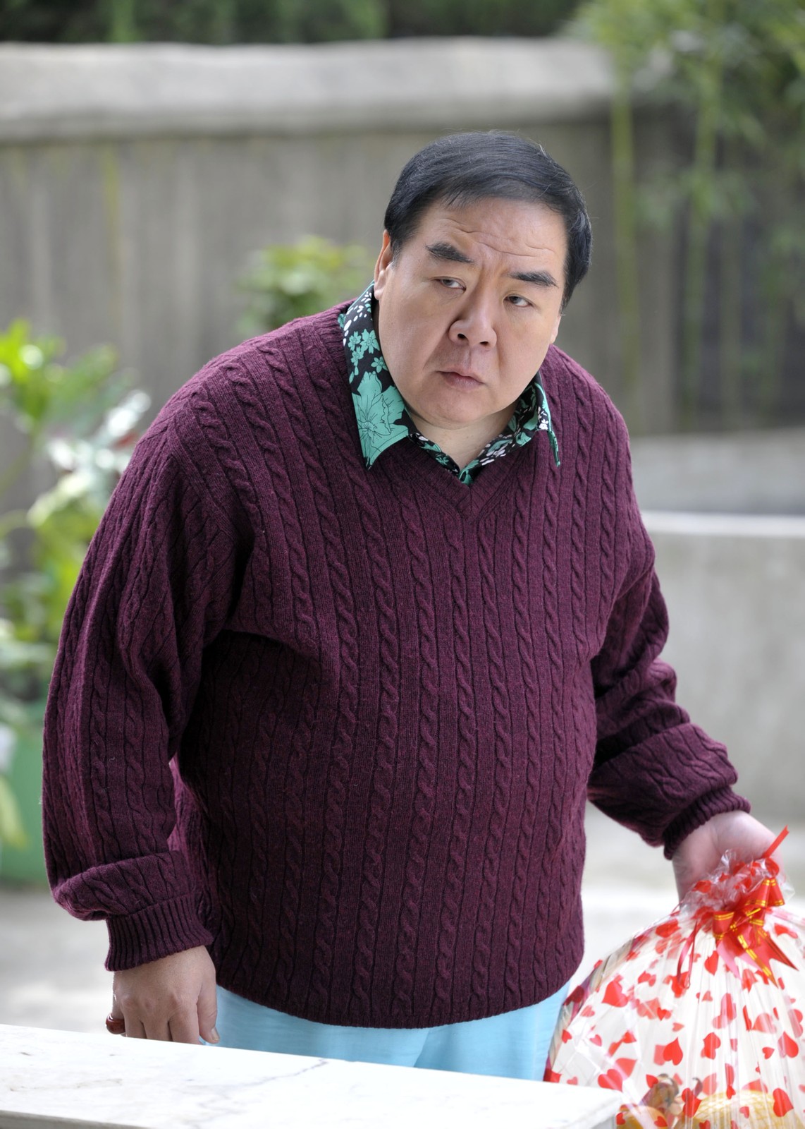 cheng),1951年5月22日出生于广东省汕头市潮阳区,中国香港影视演员